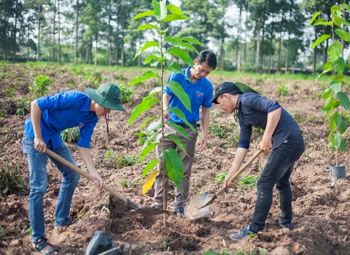 Hướng dẫn bài viết số 5 lớp 7 đề 4