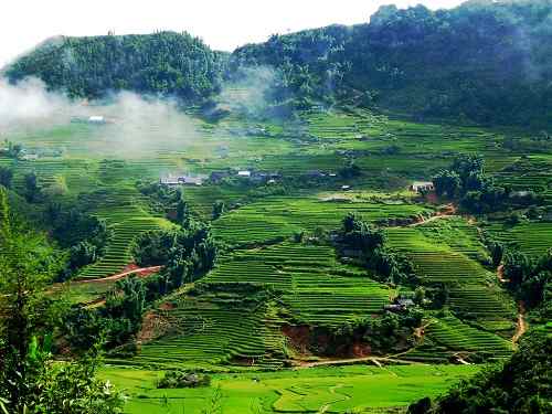 Dàn ý bài Việt Bắc Văn 12