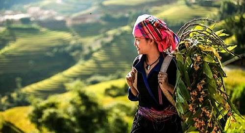 7 đoạn mở bài Việt Bắc hay nhất