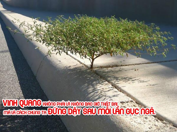 ảnh cảm hứng động lực