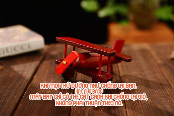 ảnh vượt khó