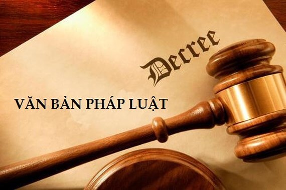 Bộ luật, Thông tư, Nghị định, Nghị quyết, Hiến pháp tiếng Anh là gì?