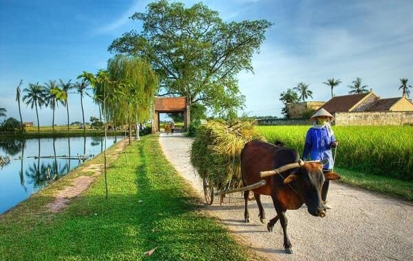 Cuộc sống ở nông thôn