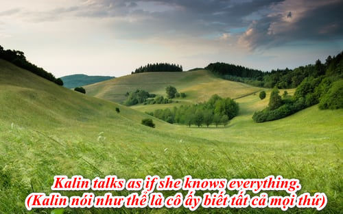 TỔNG HỢP về cấu trúc As if/As though: Cách dùng, Ví dụ