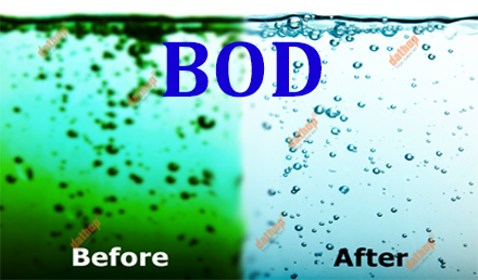 BOD là gì? Ý nghĩa của chỉ số BOD