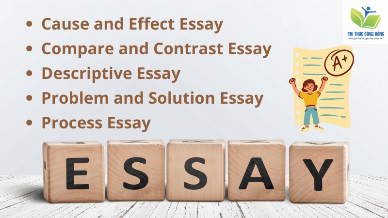Các dạng bài trong Expository Essay
