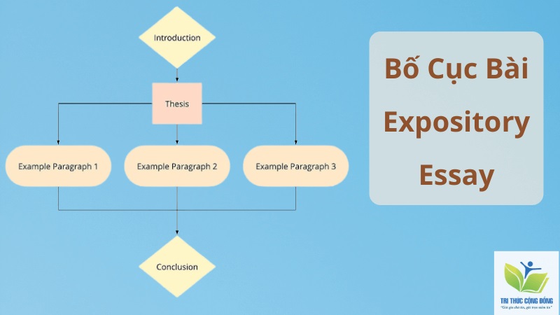 Dàn bài bài Expository Essay