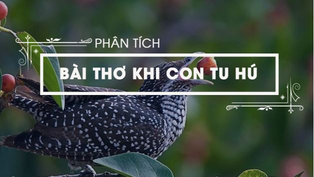 Phân tích bài “Khi con tu hú” hay và chi tiết nhất của Tố Hữu