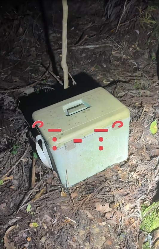 Nama Cooler Box Unblurred Video and The Disturbing Clip